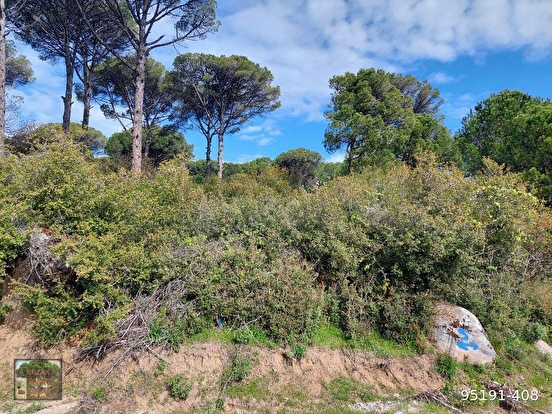 KOZAK HİSARKÖY MAH DE AYVALIK BERGAMA ANA ASFALTI KENARI 9100 M2 FISTIKLIKKOZAK  - İZMİR BERGAMA fotoğraf 7