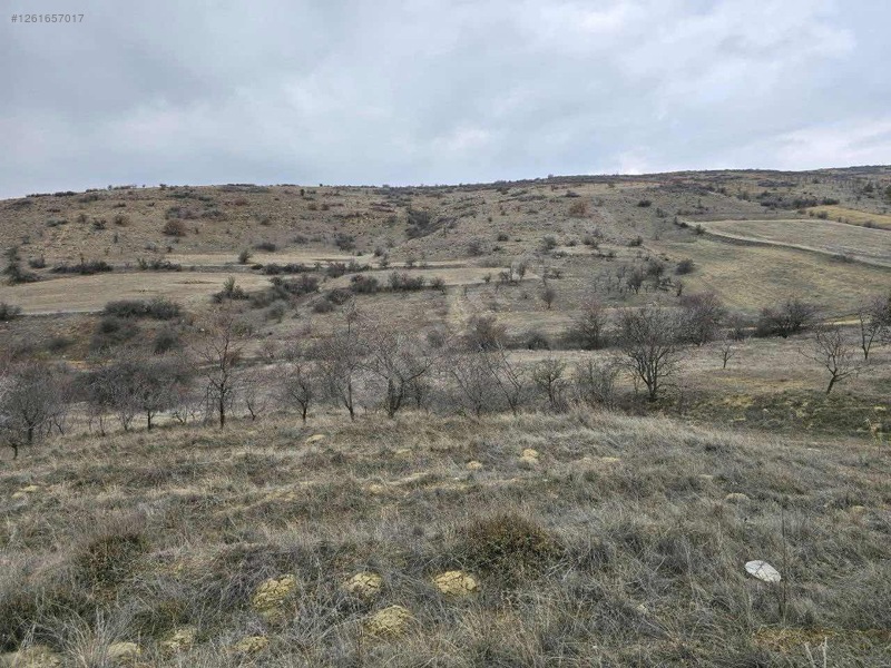 DENİZLİ ÇİVRİL BOZDAĞ   KÖYÜNDE   2.100  M²  TARLA  SATILIKTIR - DENİZLİ ÇİVRİL fotoğraf 9