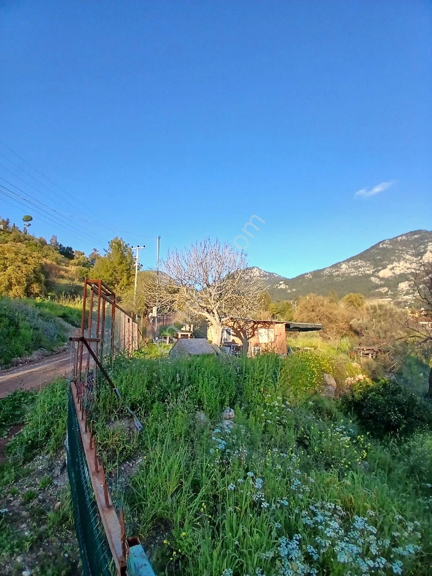 Erentepe Mahallesi Satılık Bahçe - ANTALYA KUMLUCA fotoğraf 20
