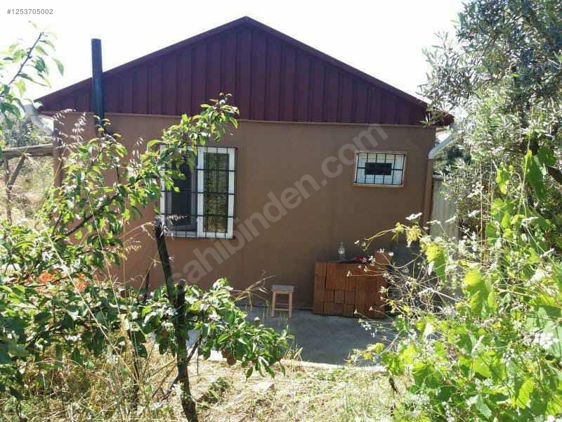 BURSA MUDANYA DEREKÖY KÖYÜNDE 2.526 M²  ZEYTİNLİK SATILIKTIR - BURSA MUDANYA fotoğraf 4