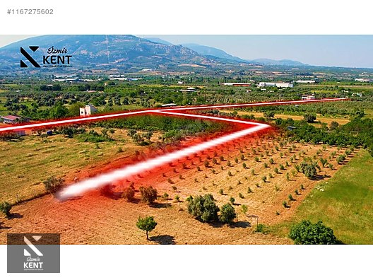 Kemalpaşa Armutlu Satılık 2300 m2 Bahçe Müstakil Parsel Tek Tapu - İZMİR KEMALPAŞA fotoğraf 12