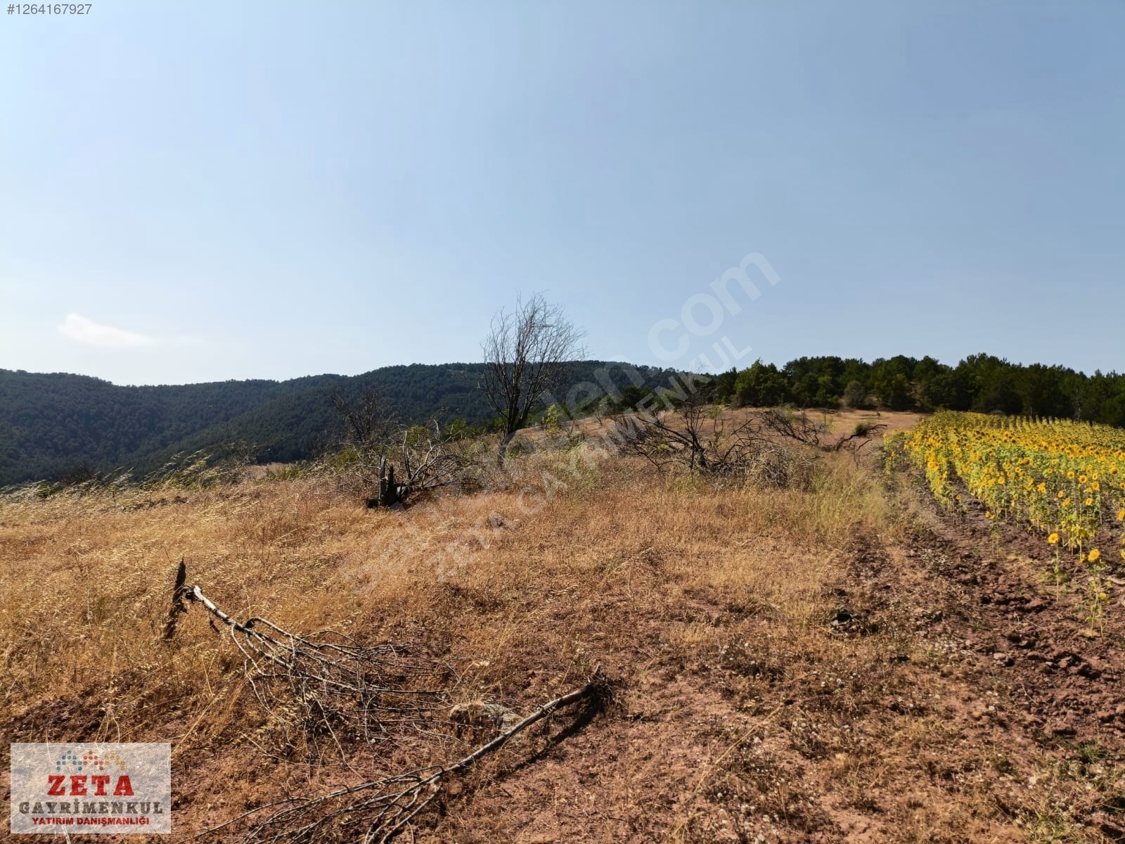Bilecik Karaahmetler'de Yatırımlık 23.460 m² Satılık Tarla - BİLECİK GÖLPAZARI fotoğraf 12