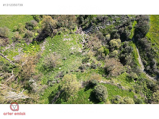 ALTIEYLÜL BAĞALANDA SATILIK MÜSTAKİL PARSEL BÜYÜK ARSA 1600 M² - BALIKESİR ALTIEYLÜL fotoğraf 41