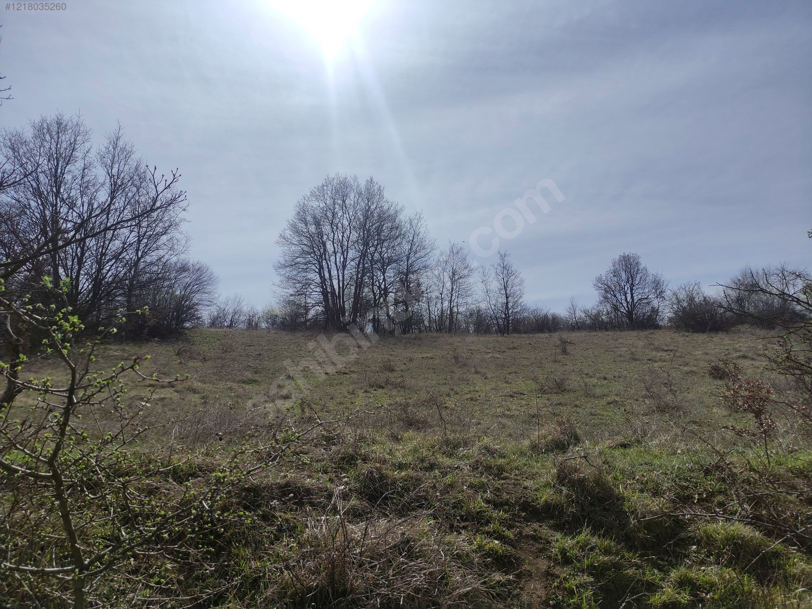 BURSA İNEGÖL ÇİTLİ MH.'DE 4.636  M²  TARLA  SATILIKTIR. - BURSA İNEGÖL fotoğraf 7