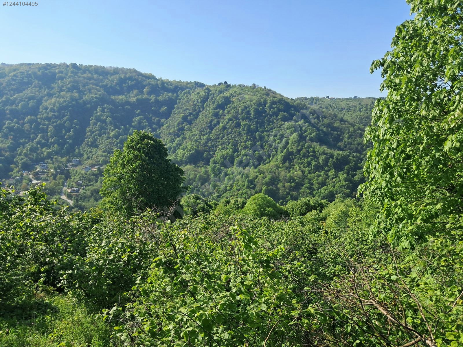 IHSANIYE DE DENIZ VE DOĞA MANZARALI - KOCAELİ GÖLCÜK fotoğraf 9