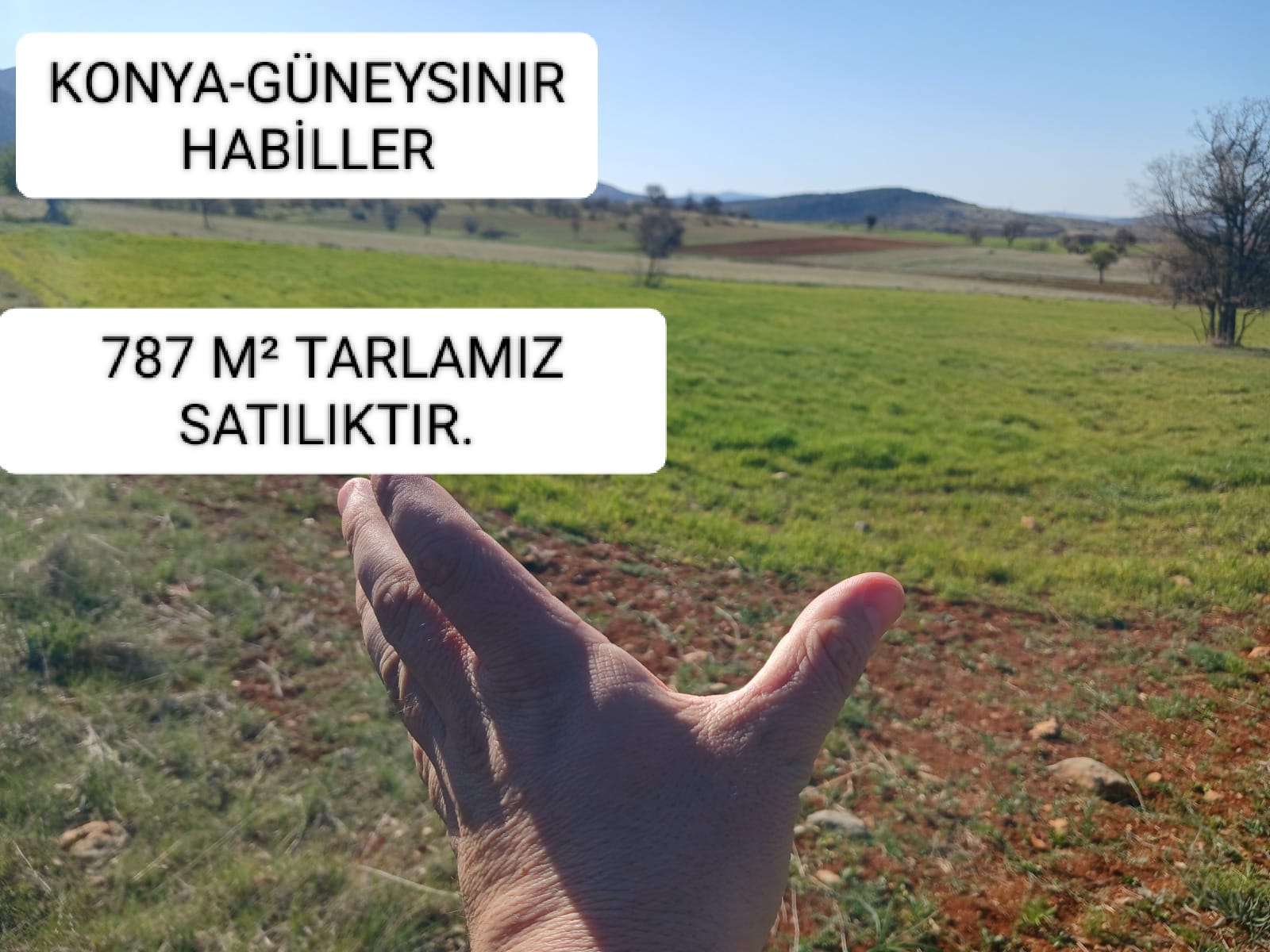 KONYA GÜNEYSINIR HABİLLER KÖYÜNDE 787 M² TARLA SATILIKTIR. - KONYA GÜNEYSINIR fotoğraf 20