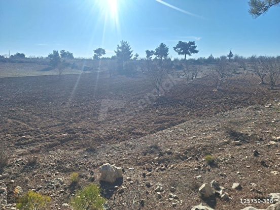 GÜLNAR SARAY MAHALLESİNDE SATILIK 10500 M2 TARLA - MERSİN GÜLNAR fotoğraf 3