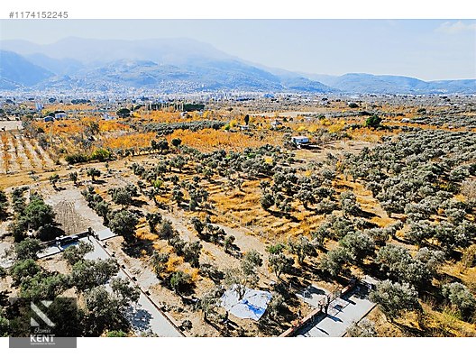 Kemalpaşa Sekiz Eylül Merkeze Yakın Satılık 3440 m2 Zeytinlik - İZMİR KEMALPAŞA fotoğraf 38
