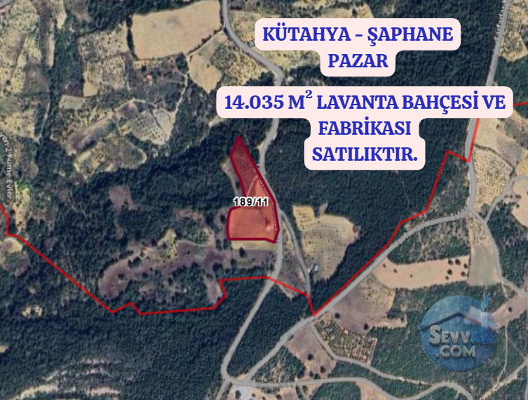 Kütahya'da 14.035m² İçerisinde Lavanta Bahçesi-Yağ Sıkma Fab.-Evi Satılıktır - KÜTAHYA ŞAPHANE fotoğraf 3