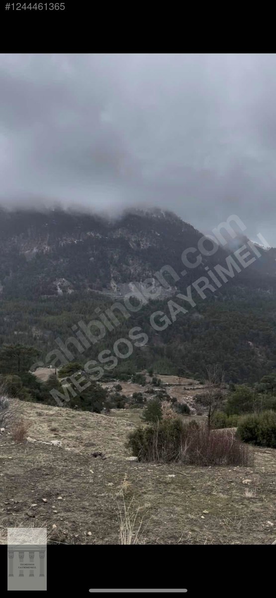 SEYDİKEMER ÇOKEK MAHALLESI SATILIK 2B ARAZI - MUĞLA SEYDİKEMER fotoğraf 2