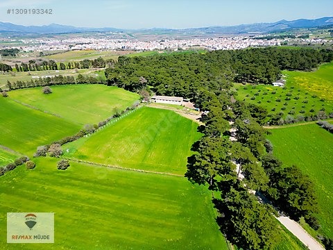 Çanakkale Bayramiç Kutluoba Satılık Tarla - ÇANAKKALE BAYRAMİÇ fotoğraf 17