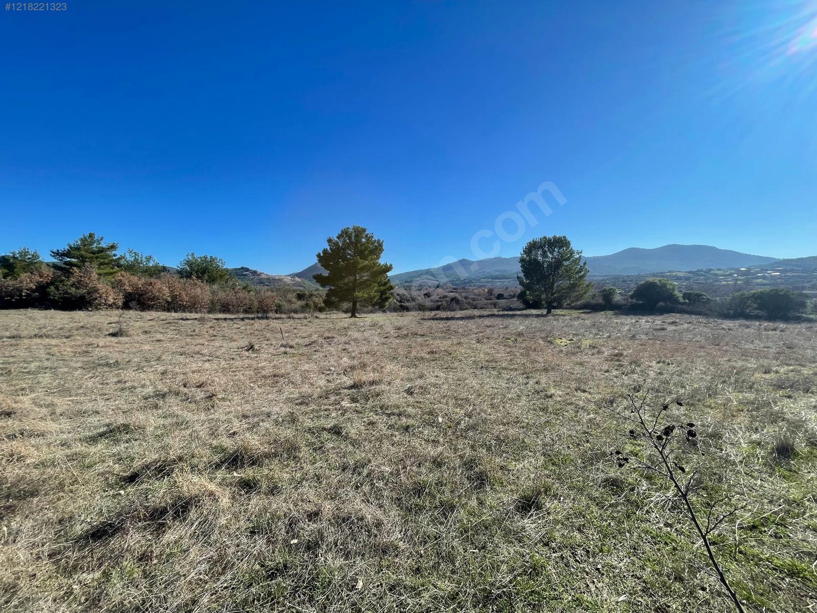 ÇANAKKALE AYVACIK  KÜÇÜKHUSUN'DA 13.388 M²  TARLA  SATILIKTIR. - ÇANAKKALE AYVACIK fotoğraf 12