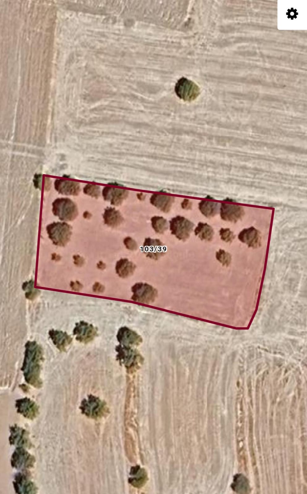 Elazığ merkez Alpağut köyü yatırımlık bahce  2.354M² - ELAZIĞ MERKEZ fotoğraf 4