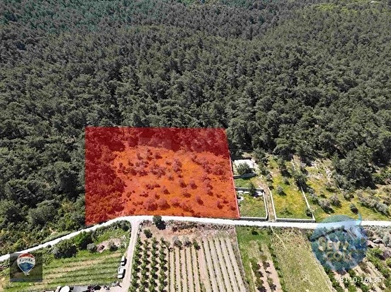 KUŞADASI KİRAZLI KÖYÜ’NDE SATILIK 5740 M2 TARLA - AYDIN KUŞADASI fotoğraf 7