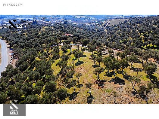 Kemalpaşa Sütçüler Satılık 11.398 m2 Bahçe - İZMİR KEMALPAŞA fotoğraf 27
