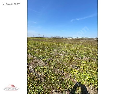 KAFKAS EMLAKTAN DEMİRELİ DE 5.600 M2 TARLA - BURSA MUSTAFAKEMALPAŞA fotoğraf 3