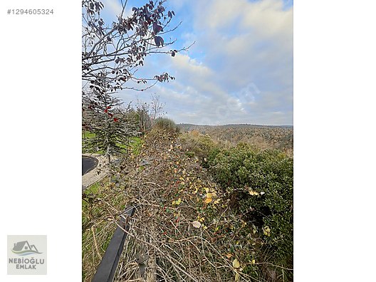 NEBİOĞLU EMLAKTAN ÇINARLI MAH.DENİZ MANZARALI 2265m2 TARLA - KOCAELİ DERİNCE fotoğraf 23