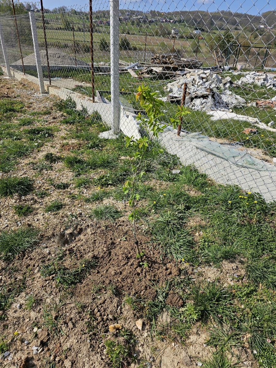 BURSA İZNİK HACIOSMAN'DA 505 M² ARSAMIZ SATILIKTIR - BURSA İZNİK fotoğraf 12