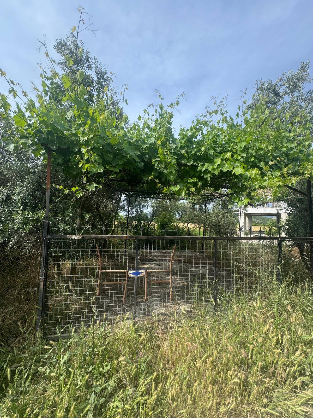 Zeytin ve meyve bahçesi 1+1 prefabrik daire - MUĞLA SEYDİKEMER fotoğraf 16