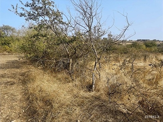 SÜLEYMANDANIŞMENT KÖYÜNDE 1326 M2 BAĞ TAPU YATIRIMLIK ARAZİ - EDİRNE LALAPAŞA fotoğraf 12