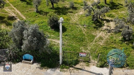 ŞEHIR MERKEZINE YAKIN 15.033 M² SATILIK ZEYTINLIK - AYDIN KUŞADASI fotoğraf 6