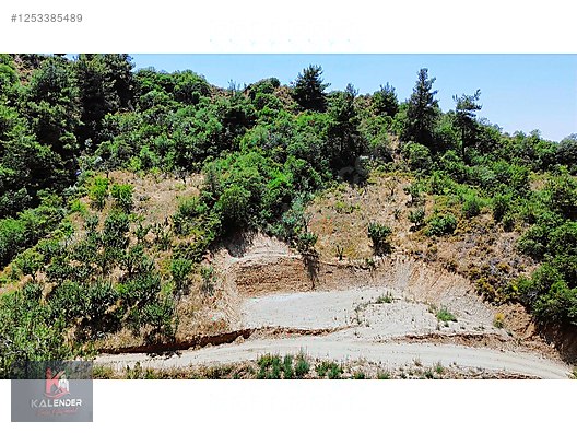 KALENDER EMLAKTAN OSMANCIKTA 1650 M2 ERİKLİK - MANİSA TURGUTLU fotoğraf 2