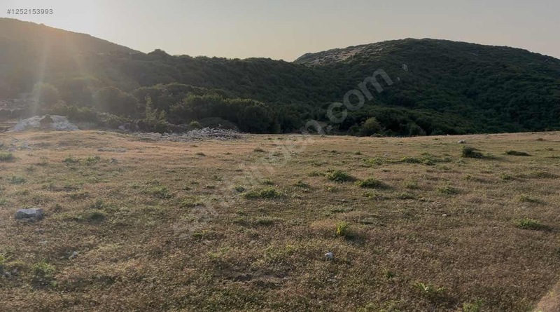 HATAY / YAYLADAĞI / ŞENKÖY MAHALLESİNDE YATIRIMLIK İMARLI ARSA! 490 M² - HATAY YAYLADAĞI fotoğraf 6