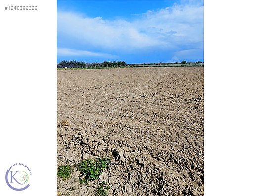 TARSUS MAHMUTAĞA KÖYÜ'NDE SATILIK 8.500 m TARLA - MERSİN TARSUS fotoğraf 5