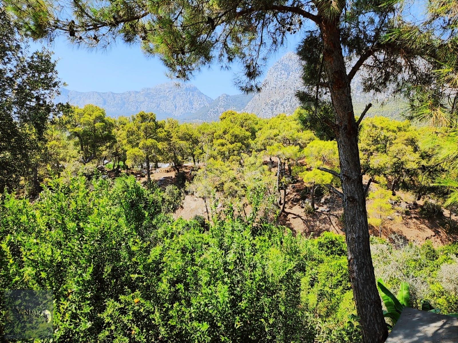KONYAALTINA 10 DK 675 m2 ARSALI BAKIMLI MÜSTAKİL DUBLEKS EV! - ANTALYA KONYAALTI fotoğraf 7