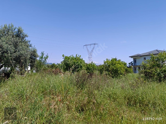 FETHİYE PATLANGICTA SATILIK TARLA 1850 m² KÖŞE PARSEL - MUĞLA FETHİYE fotoğraf 10