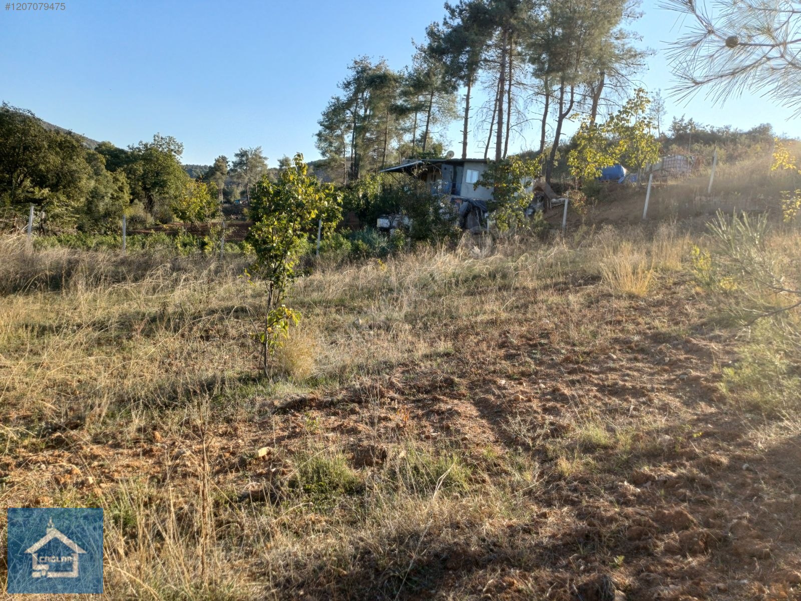 ÇAĞLAR'DAN TOPRAKDERE DE 823m2 MÜSTAKİL TARLA YOL+SU VAR - BURSA YENİŞEHİR fotoğraf 23