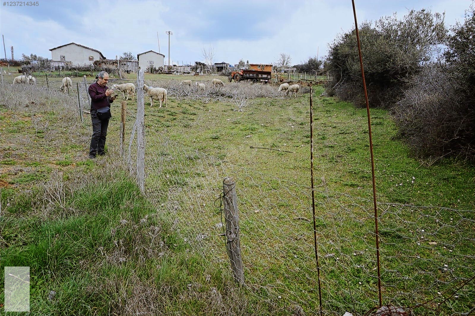ÇANAKKALE BAYRAMİÇ TEPECİK MAH 258 m2 ARSA - ÇANAKKALE BAYRAMİÇ fotoğraf 6
