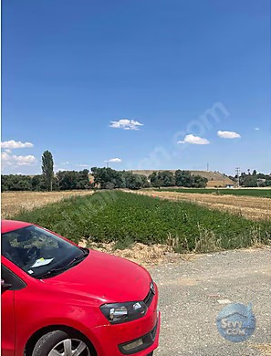 KONYA AKŞEHİR YEŞİLKÖY DE 917 M² TARLAMIZ SATILIKTIR - KONYA AKŞEHİR fotoğraf 4