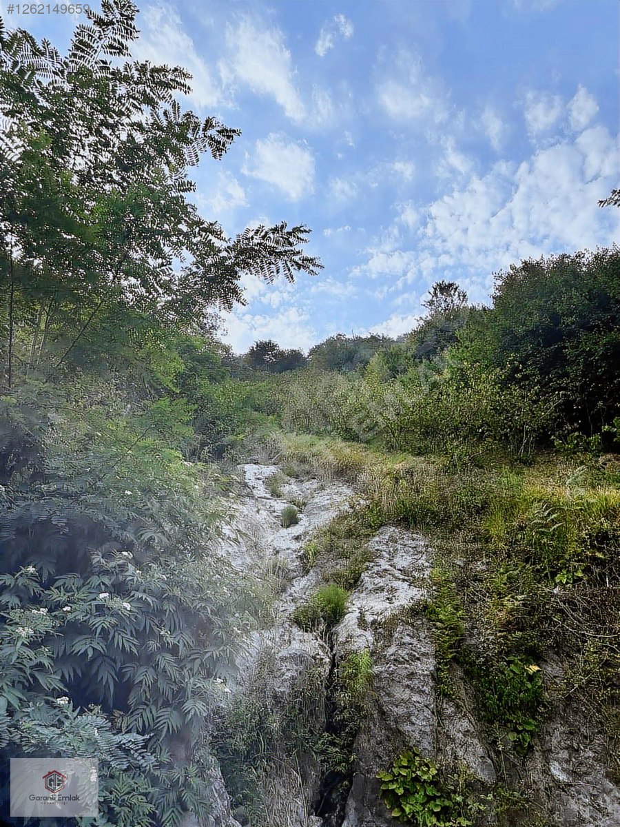 SARAYCIKDA SATILIK 76 DÖNÜM FINDIK BAHÇESİ - ORDU ALTINORDU fotoğraf 2