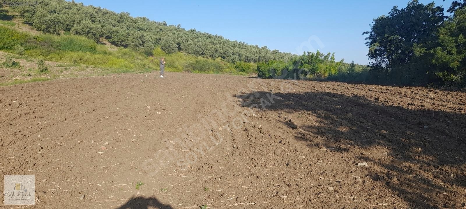 BALİKESİR GÖNEN HAVUTCA KOY CİVARİ 1.440,83m2 - BALIKESİR GÖNEN fotoğraf 6