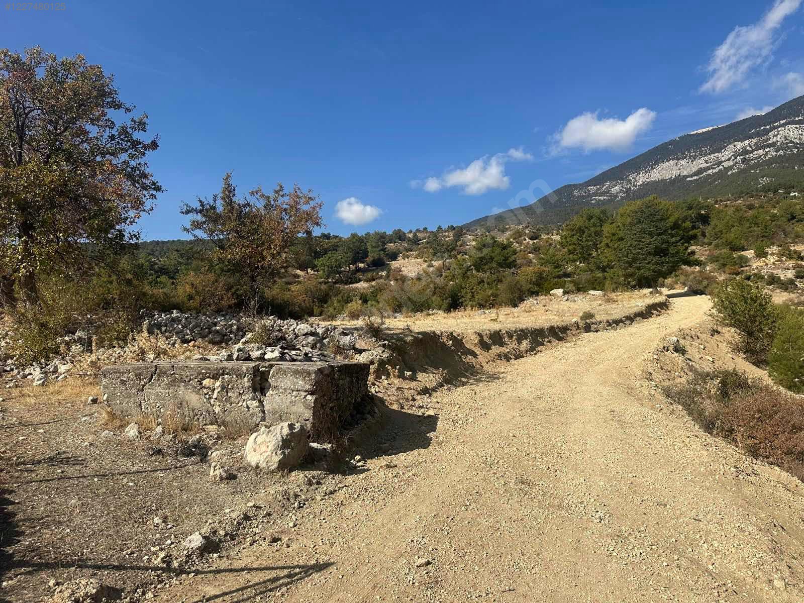 Antalya / Kaş / Gürsu Mahallesinde 1.140 m² SATILIK TARLA - ANTALYA KAŞ fotoğraf 7