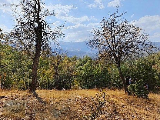 konyaaltı Doyranda 629m tapulu arsa - ANTALYA KONYAALTI fotoğraf 6