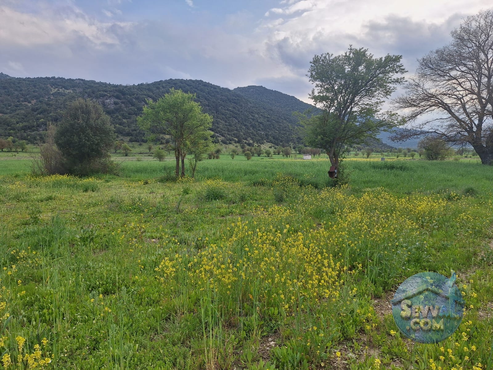 ASYA EMLAKTAN BURDUR AĞLASUN HİSARKÖY DE SATILIK FIRSAT TARLA - Burdur Ağlasun fotoğraf 19