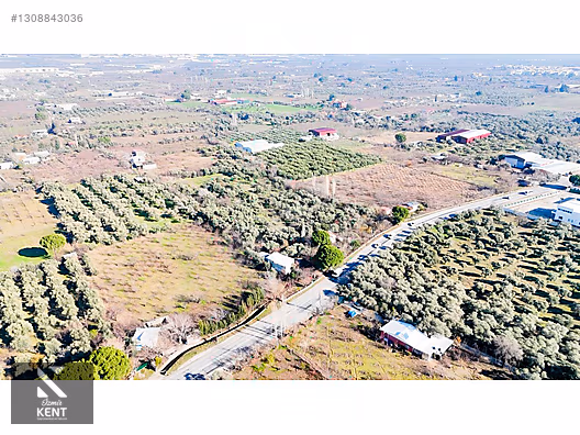 Kemalpaşa M.Akif Ersoy Satılık 7.250 m2 Bahçe Tek Tapu - İZMİR KEMALPAŞA fotoğraf 25