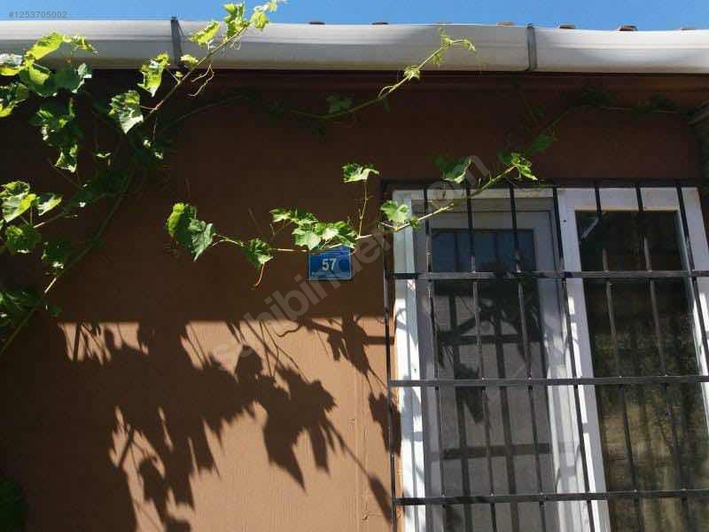 BURSA MUDANYA DEREKÖY KÖYÜNDE 2.526 M²  ZEYTİNLİK SATILIKTIR - BURSA MUDANYA fotoğraf 15
