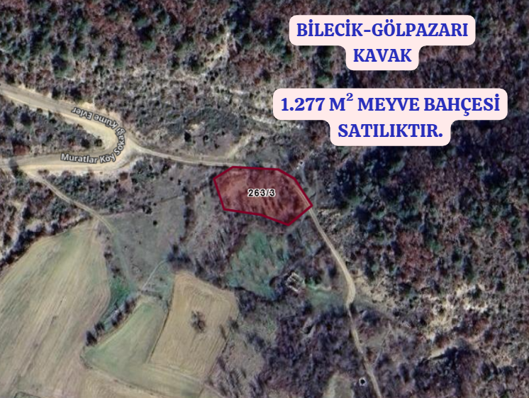 BİLECİK GÖLPAZARI KAVAK  KÖYÜNDE 1.277 M²  TARLA  SATILIKTIR - BİLECİK GÖLPAZARI fotoğraf 2