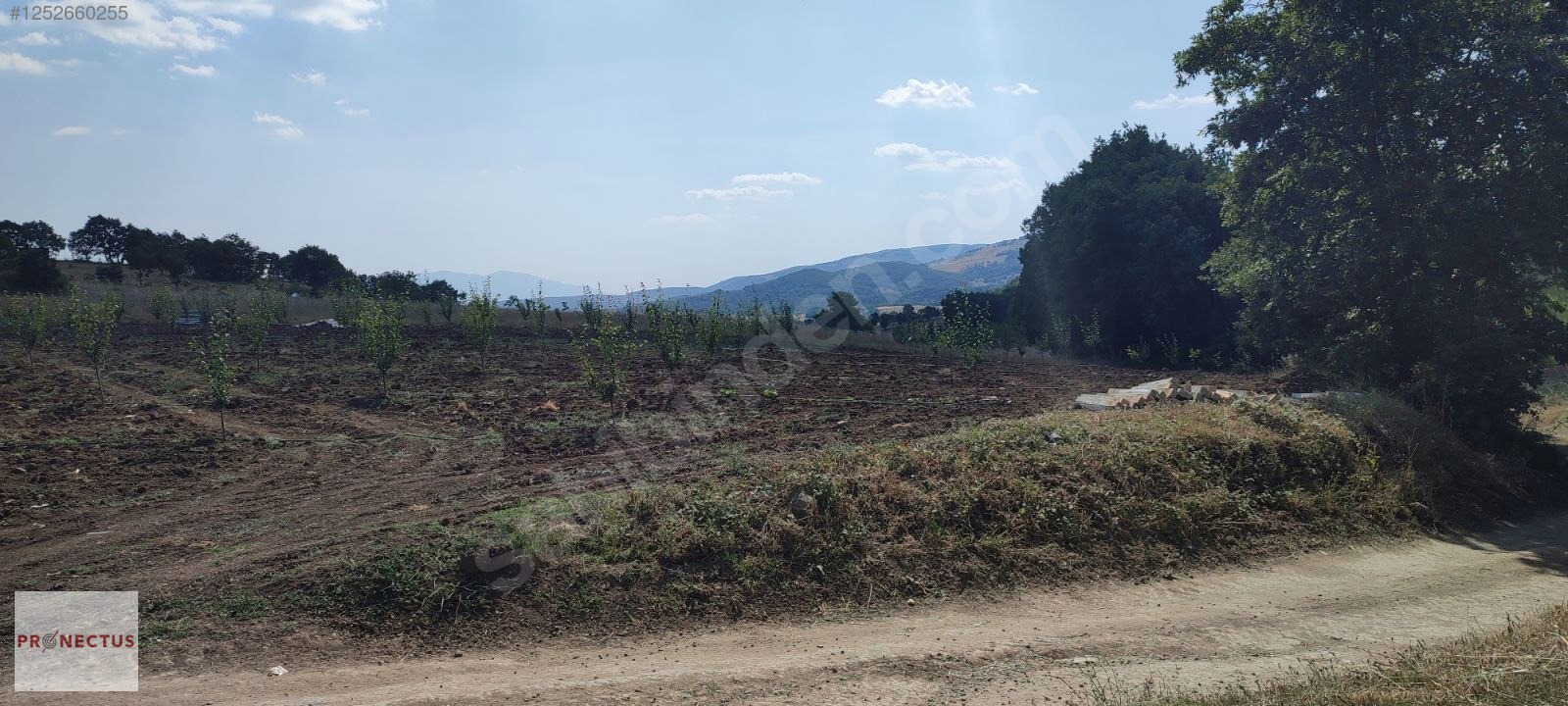 YÖRÜKLER MAHALLESİNDE ASFALT YOLA CEPHE SATILIK 5833 M2 TARLA - BURSA İZNİK fotoğraf 7