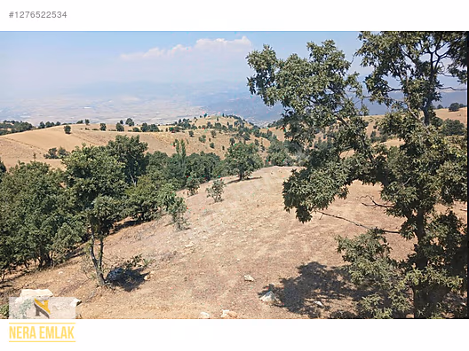 SARIGÖL YENİKÖY'DE ARAÇ TAKASLI UYGUN TEK TAPU 12.190m2 TARLA - MANİSA SARIGÖL fotoğraf 4