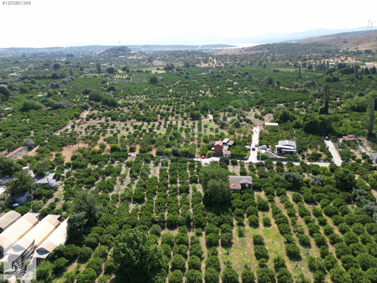 Sığacık Yolu Üzerinde 4.800m² Mandalina Bahçesi Ve Ruhsatlı Ev - İZMİR SEFERİHİSAR fotoğraf 8