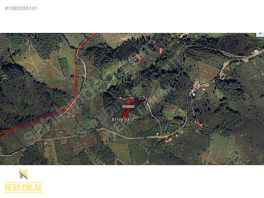 DENİZ SAHİLİNE YAKIN KADASTROYOLA CEPHE TEKTAPU 1.970m2 EV YERİ - GİRESUN PİRAZİZ fotoğraf 4