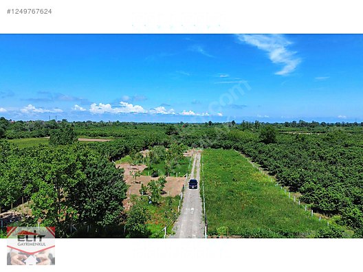 KARASU KUYUMCULUDA SATILIK 463 M2 FIRSAT ARSA - SAKARYA KARASU fotoğraf 11