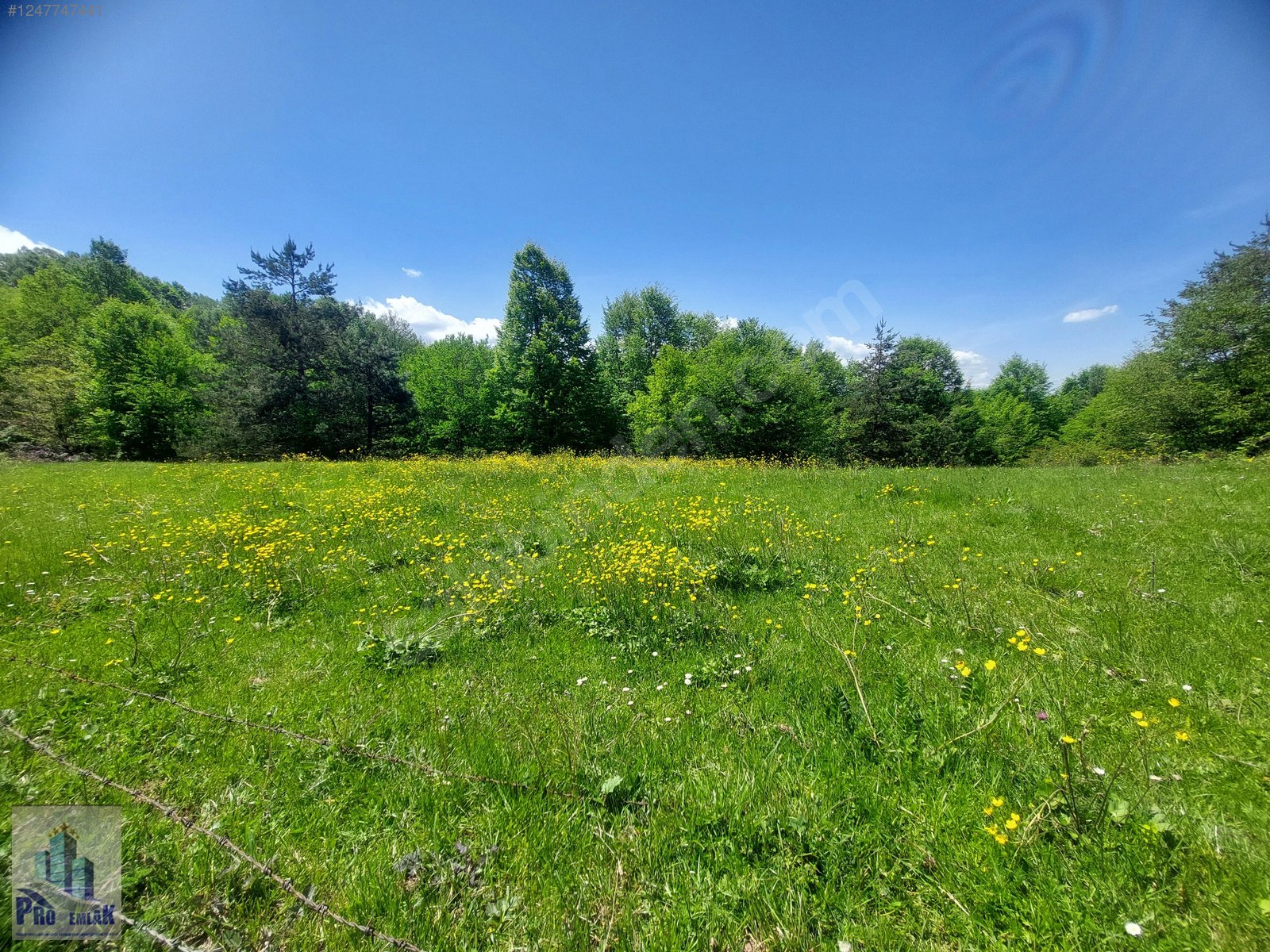 DÜZCE KAYNAŞLI YEŞİLTEPE K. TAMAMI İMARLI 17.923 M2 FIRSAT ARSA - DÜZCE KAYNAŞLI fotoğraf 10