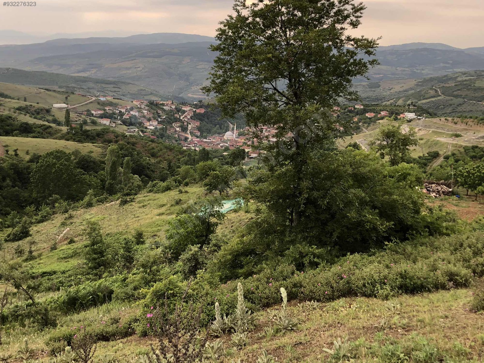 BURSA İZNİK TACİR'DE 6.111 M² TARLAMIZ SATILIKTIR - BURSA İZNİK fotoğraf 13