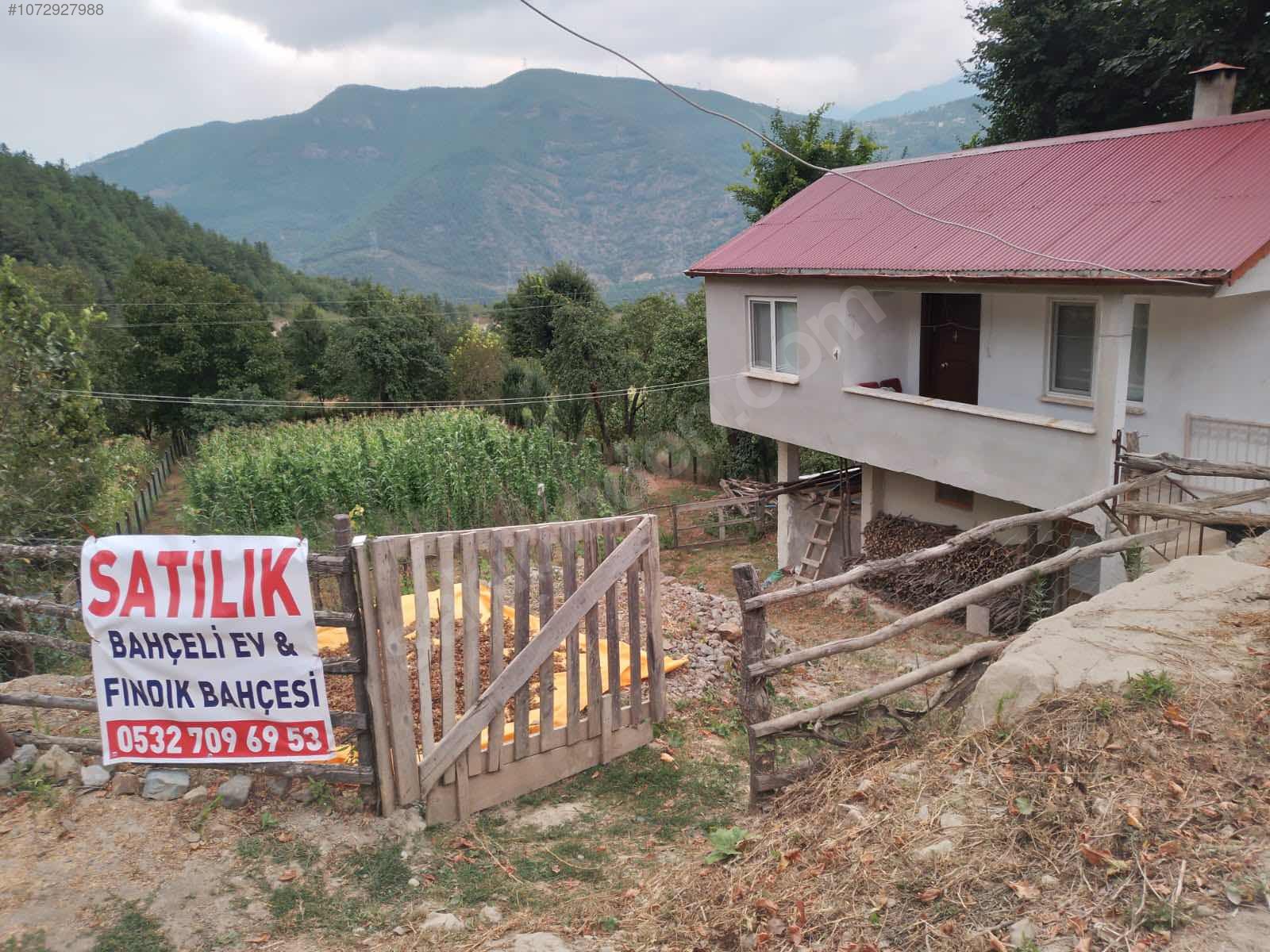 1500 m2 arsalı müstakil ev + 3200 m2 fındık bahçesi - ARTVİN BORÇKA fotoğraf 14
