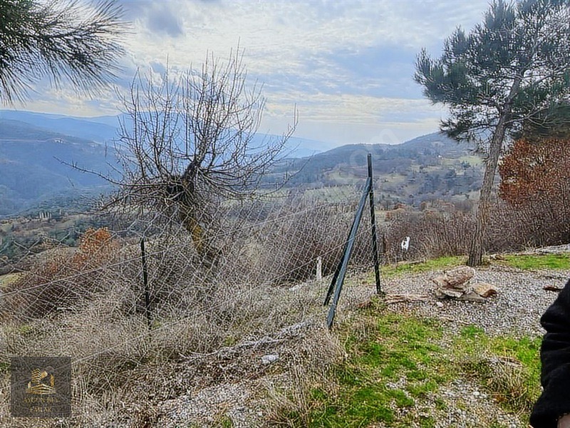 Manisa Akhisar Söğütlü Asfalt Konut İmarlı Arsa Kredi K. Geçerli - MANİSA AKHİSAR fotoğraf 5